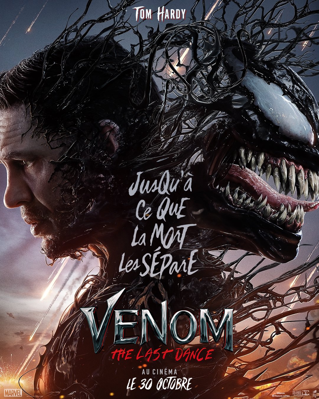 venom last dance